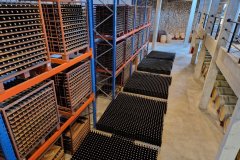 Bodega-Quinton-in-Colonia
