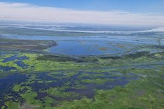 Rio Parana