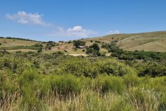 Rincon de los Matreros