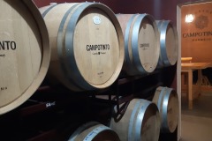 Bodega-Campo-Tinto