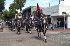 Gauchofest-Parade