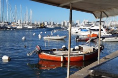 Punta-del-Este-Yachthafen
