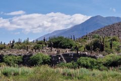 bei Jujuy