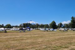 Festivalbesucher