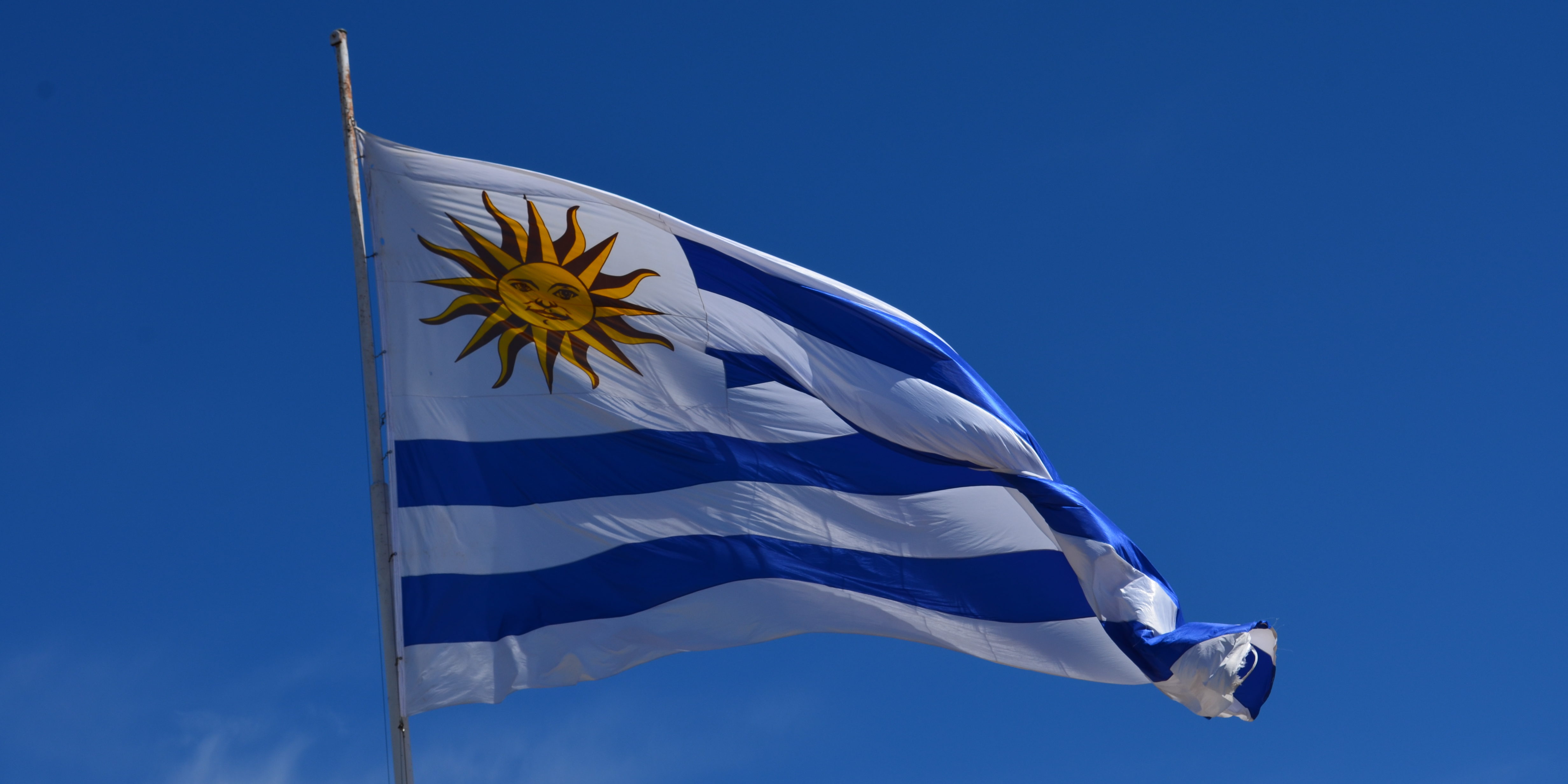 Uruguayische Flagge